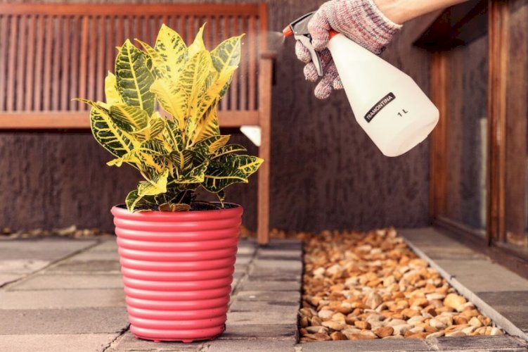 PULVERIZADOR PLÁSTICO MANUAL 1 L